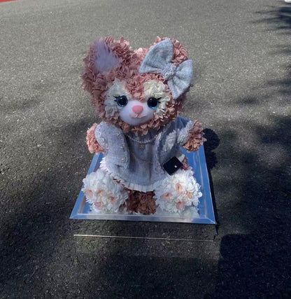 Preserved Flower Dolls-LinaBell